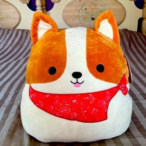 Squishmellow dog bandit